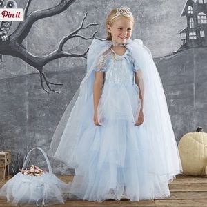 Pottery Barn Blue Cinderella or Pink Sleeping Beauty Princess Cape w/ Hood NEW